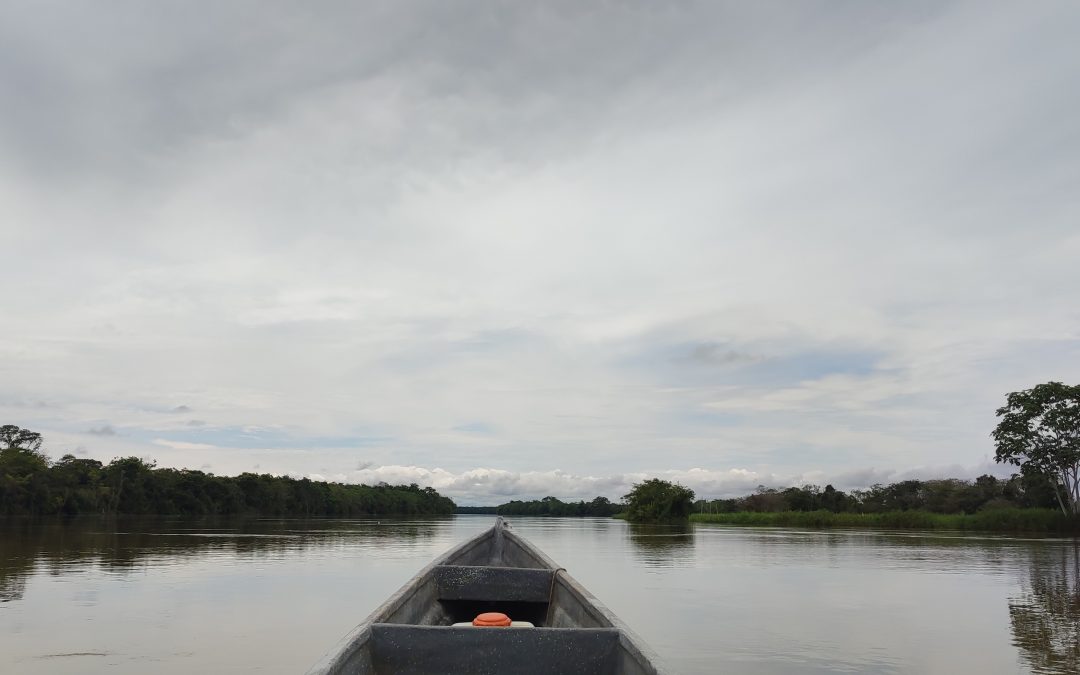 FASE 2: Fortalecimiento a comunidades y organizaciones sociales de base en su capacidad de defensa de los derechos del Río Atrato para su conservación y protección