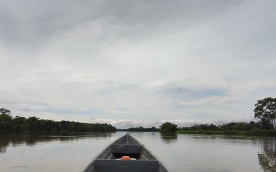FASE 2: Fortalecimiento a comunidades y organizaciones sociales de base en su capacidad de defensa de los derechos del Río Atrato para su conservación y protección